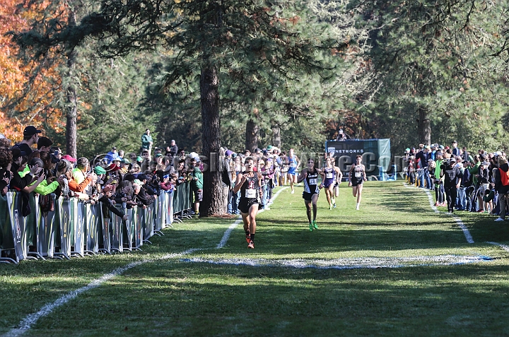 2017Pac12XC-236.JPG - Oct. 27, 2017; Springfield, OR, USA; XXX in the Pac-12 Cross Country Championships at the Springfield  Golf Club.